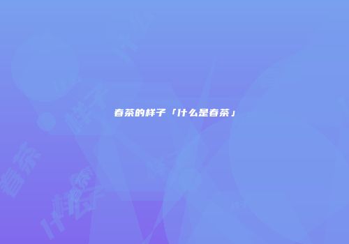 春茶的样子「什么是春茶」