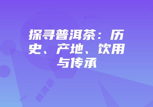 探寻普洱茶：历史、产地、饮用与传承