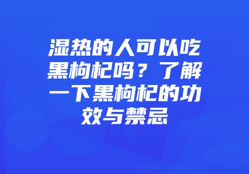 湿热的人可以吃黑枸杞吗？了解一下黑枸杞的功效与禁忌