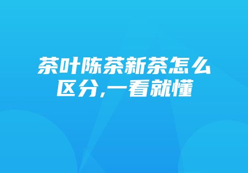 茶叶陈茶新茶怎么区分,一看就懂