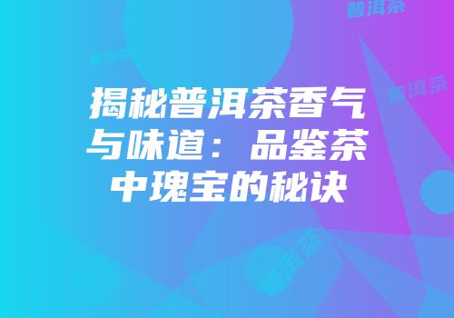 揭秘普洱茶香气与味道：品鉴茶中瑰宝的秘诀