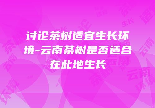 讨论茶树适宜生长环境-云南茶树是否适合在此地生长