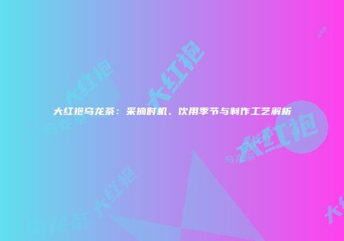 大红袍乌龙茶：采摘时机、饮用季节与制作工艺解析