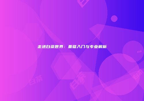 走进白茶世界：基础入门与专业解析