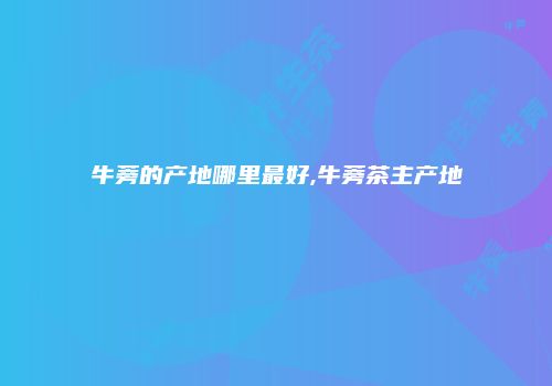 牛蒡的产地哪里最好,牛蒡茶主产地