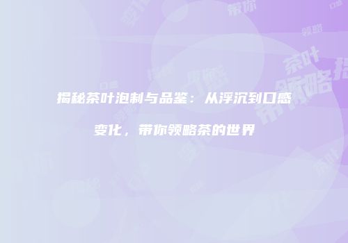 揭秘茶叶泡制与品鉴：从浮沉到口感变化，带你领略茶的世界