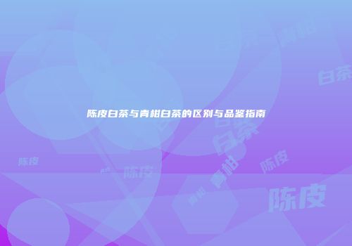 陈皮白茶与青柑白茶的区别与品鉴指南