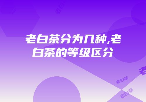 老白茶分为几种,老白茶的等级区分