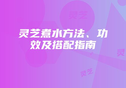 灵芝煮水方法、功效及搭配指南