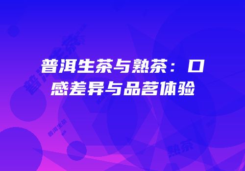 普洱生茶与熟茶：口感差异与品茗体验