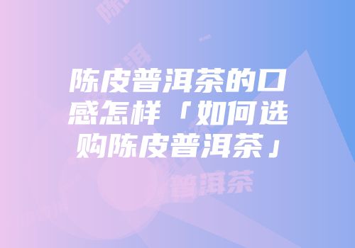 陈皮普洱茶的口感怎样「如何选购陈皮普洱茶」