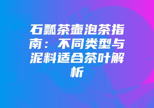石瓢茶壶泡茶指南：不同类型与泥料适合茶叶解析