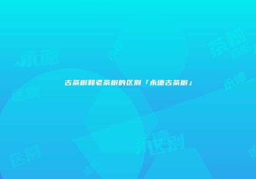 古茶树和老茶树的区别「永德古茶树」