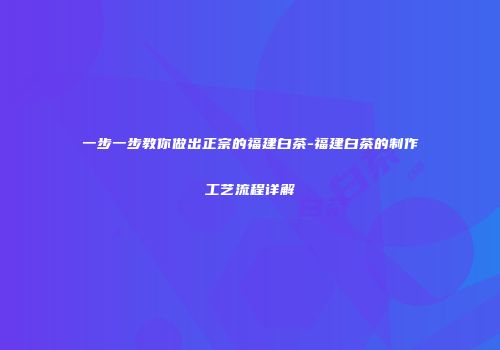 一步一步教你做出正宗的福建白茶-福建白茶的制作工艺流程详解