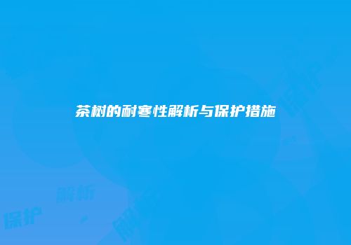 茶树的耐寒性解析与保护措施