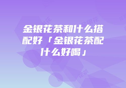 金银花茶和什么搭配好「金银花茶配什么好喝」