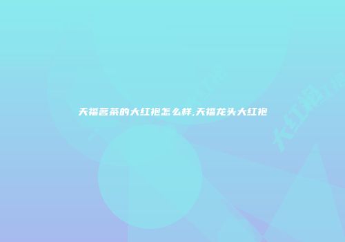 天福茗茶的大红袍怎么样,天福龙头大红袍