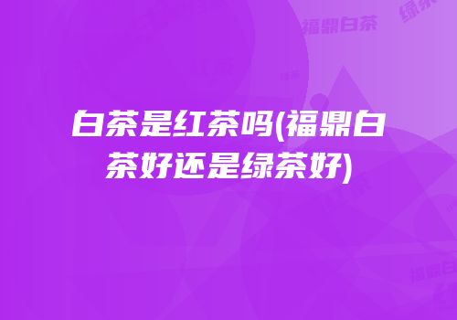 白茶是红茶吗(福鼎白茶好还是绿茶好)
