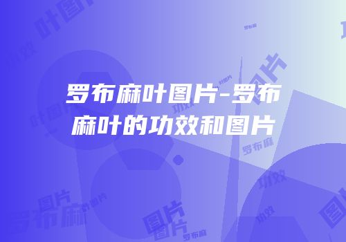 罗布麻叶图片-罗布麻叶的功效和图片