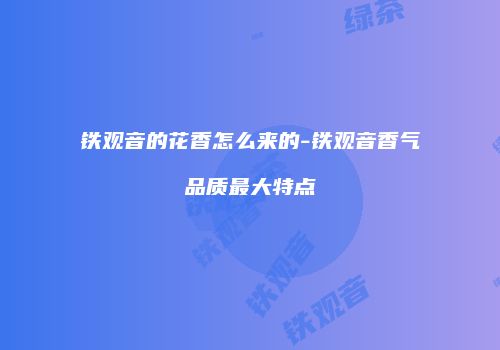 铁观音的花香怎么来的-铁观音香气品质最大特点