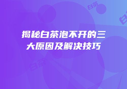 揭秘白茶泡不开的三大原因及解决技巧