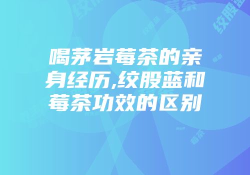 喝茅岩莓茶的亲身经历,绞股蓝和莓茶功效的区别