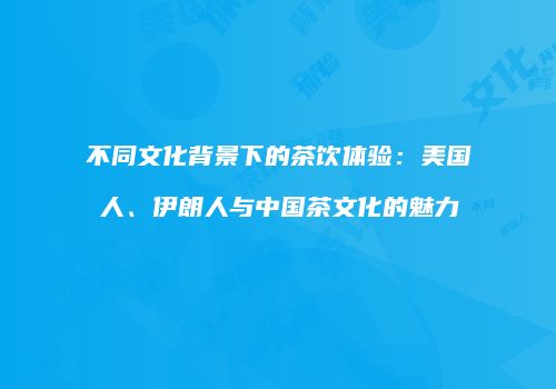 不同文化背景下的茶饮体验：美国人、伊朗人与中国茶文化的魅力