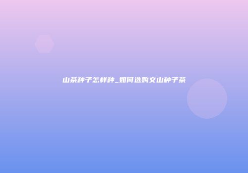 山茶种子怎样种_如何选购文山种子茶