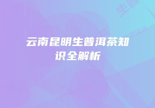 云南昆明生普洱茶知识全解析