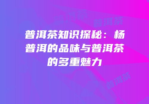 普洱茶知识探秘：杨普洱的品味与普洱茶的多重魅力