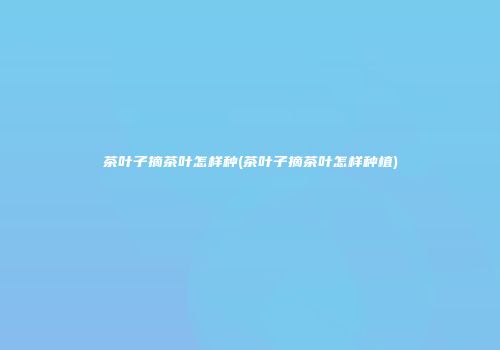 茶叶子摘茶叶怎样种(茶叶子摘茶叶怎样种植)
