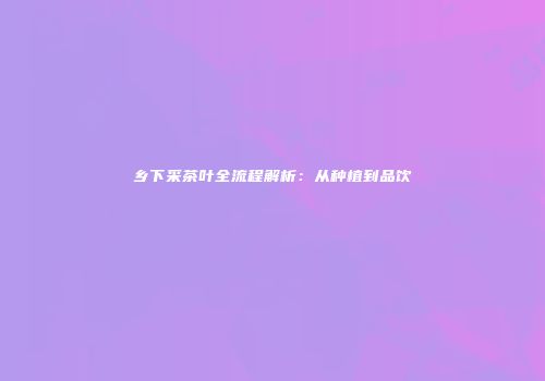 乡下采茶叶全流程解析：从种植到品饮
