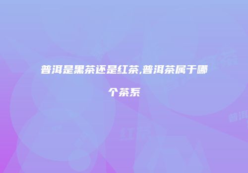 普洱是黑茶还是红茶,普洱茶属于哪个茶系