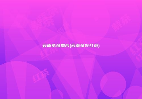 云南紫茶图片(云南茶叶红茶)