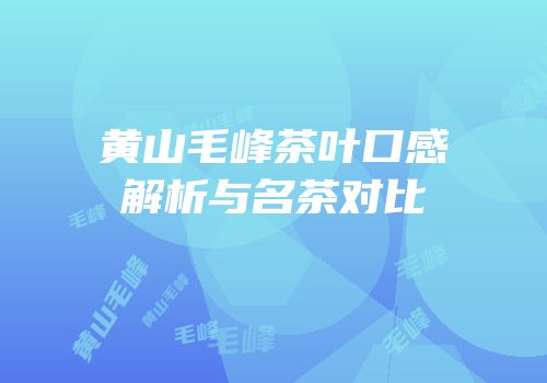 黄山毛峰茶叶口感解析与名茶对比