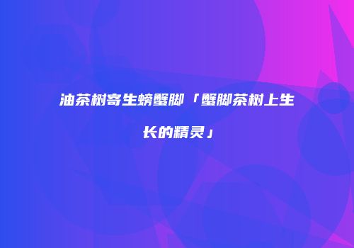油茶树寄生螃蟹脚「蟹脚茶树上生长的精灵」