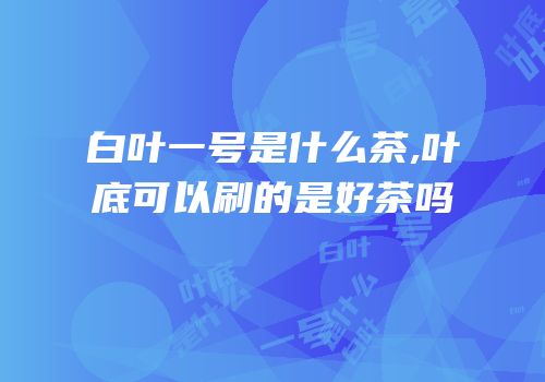 白叶一号是什么茶,叶底可以刷的是好茶吗