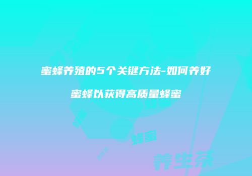 蜜蜂养殖的5个关键方法-如何养好蜜蜂以获得高质量蜂蜜
