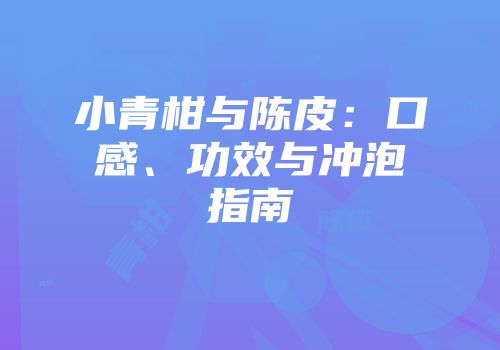 小青柑与陈皮：口感、功效与冲泡指南