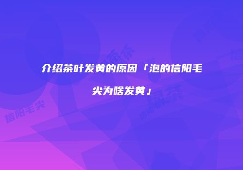 介绍茶叶发黄的原因「泡的信阳毛尖为啥发黄」