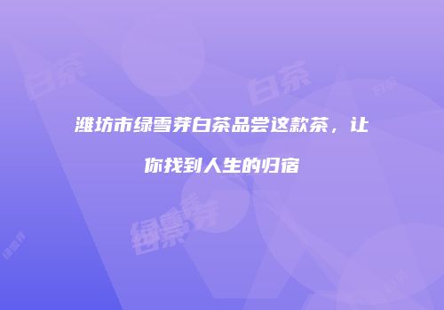 潍坊市绿雪芽白茶品尝这款茶，让你找到人生的归宿