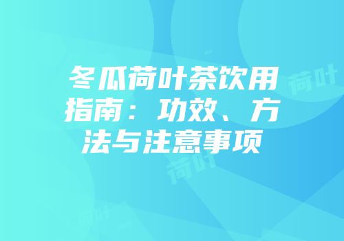 冬瓜荷叶茶饮用指南：功效、方法与注意事项