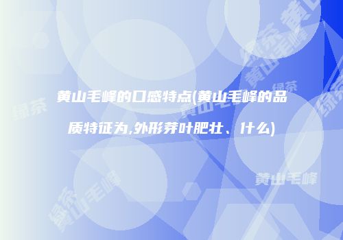 黄山毛峰的口感特点(黄山毛峰的品质特征为,外形芽叶肥壮、什么)