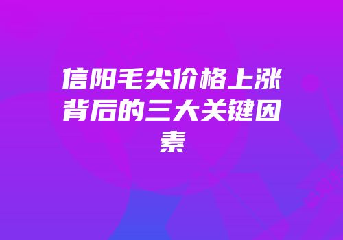 信阳毛尖价格上涨背后的三大关键因素
