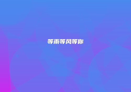 等雨等风等你