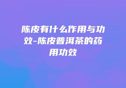 陈皮有什么作用与功效-陈皮普洱茶的药用功效