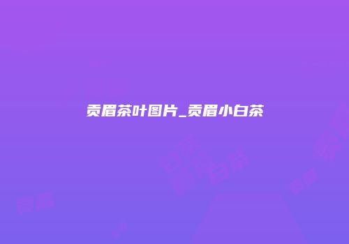 贡眉茶叶图片_贡眉小白茶