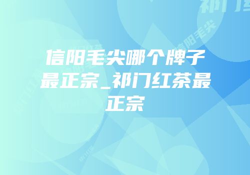 信阳毛尖哪个牌子最正宗_祁门红茶最正宗