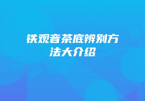 铁观音茶底辨别方法大介绍