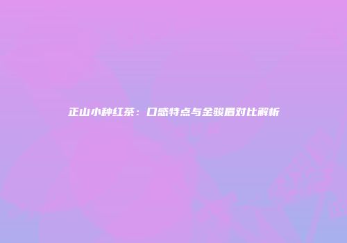 正山小种红茶：口感特点与金骏眉对比解析
